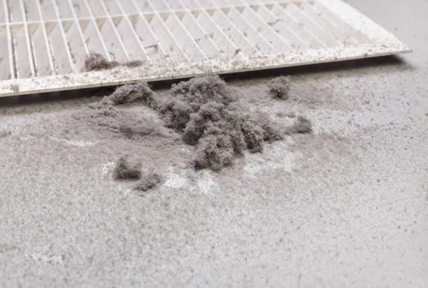 Best Dryer Vent Cleaning Services  in Enid, OK