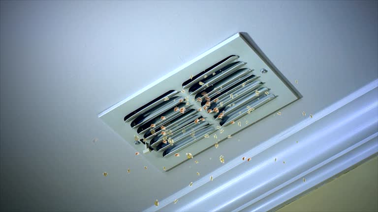 Best Ventilation Cleaning Services  in Enid, OK