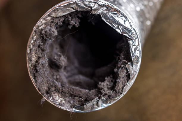 Best Local Air Duct Cleaning Services  in Enid, OK